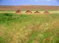 <br>Subject title: Red Shacks<br/>Status: Available<br>
